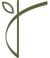Treeline Hotels Logo