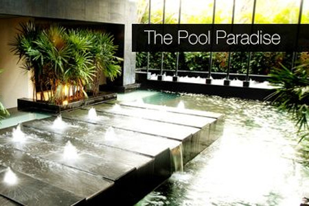 The Pool Paradise